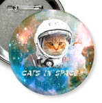 котейка космонавт