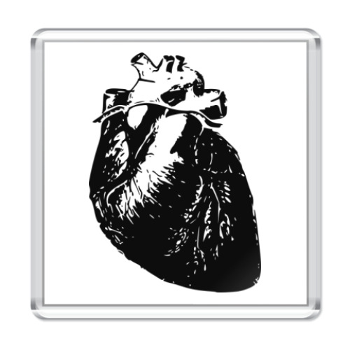 Магнит с принтом  'Anatomy: Heart'