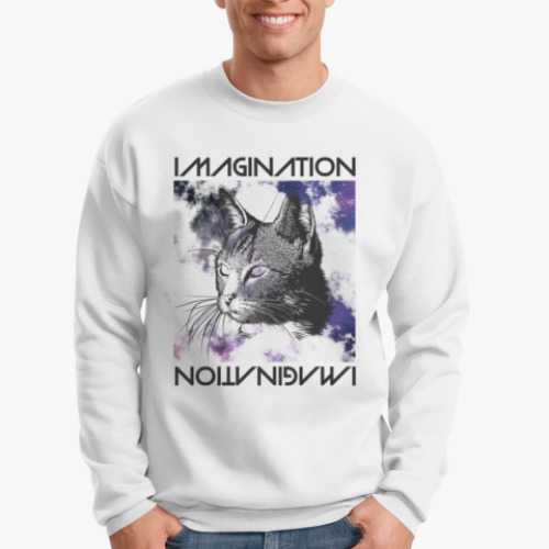 Свитшот Imagination Cat