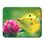 Коврик для мыши Бабочка