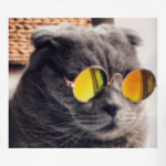 Кот-хитпстер