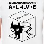 Кот Шрёдингера