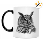 Совы. Совушки. Owl. Owls.