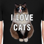 I LOVE CATS