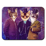 Три космических кота