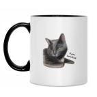 Кружка двухцветная