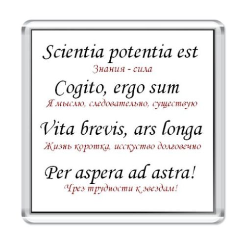 Магнит Пословицы на латинском языке