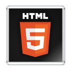 HTML 5