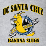 uc santa cruz banana slugs
