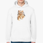 Толстовка худи